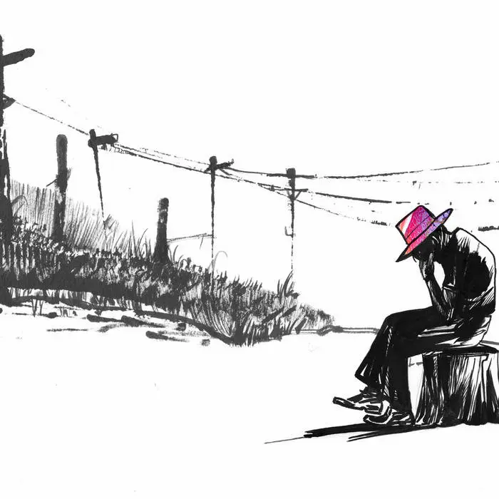 Cover of Colored Hats